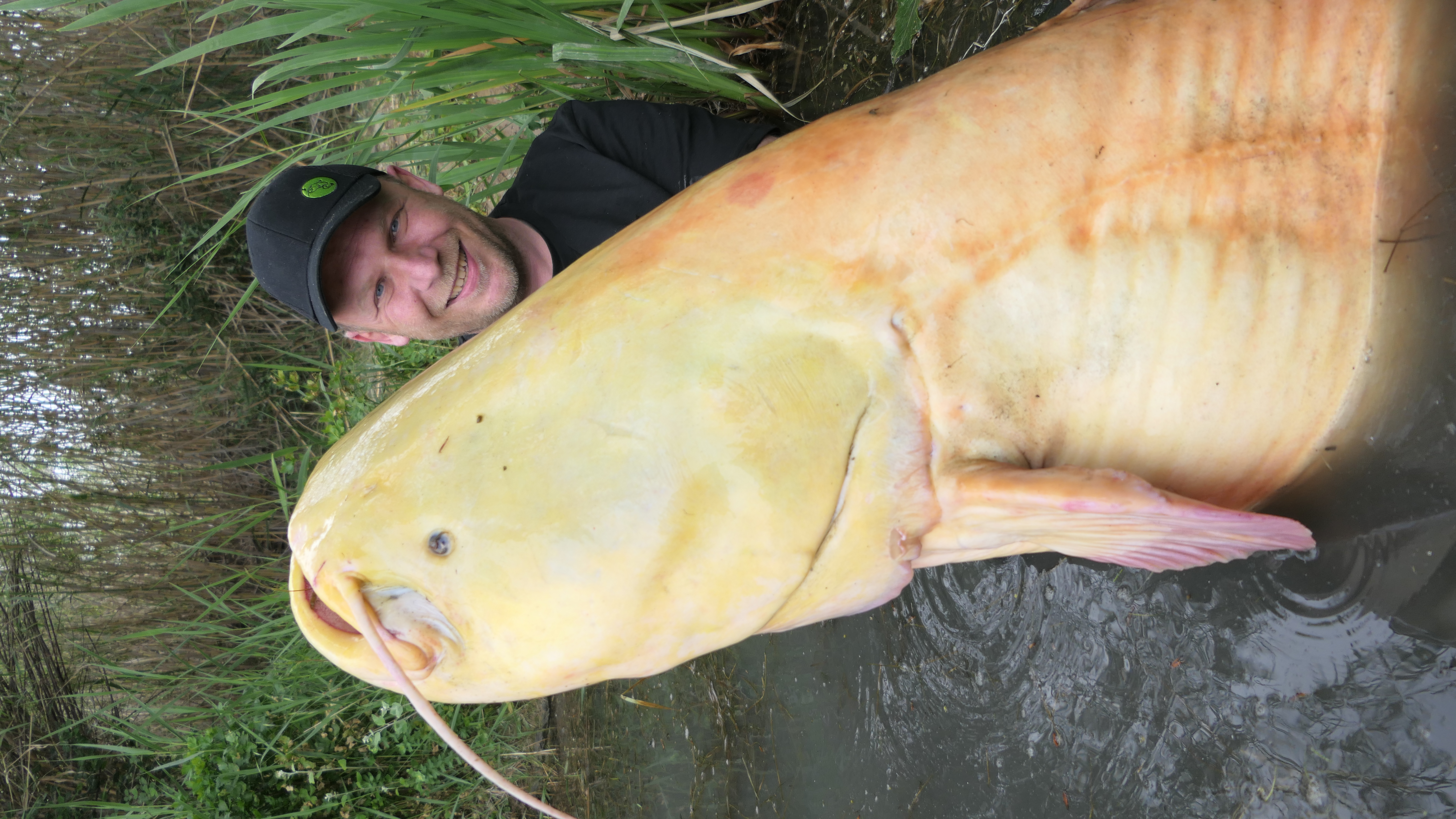 Benjamin Gründer mit kapitalem Wels